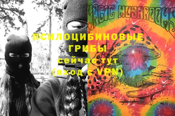 a pvp Магас