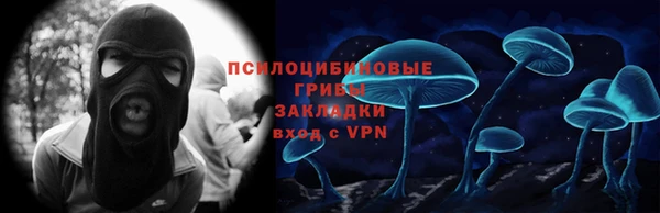 ПСИЛОЦИБИНОВЫЕ ГРИБЫ Магадан