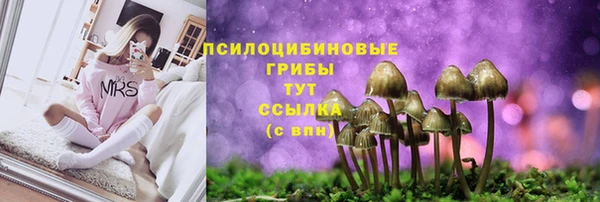 прущая мука Беломорск
